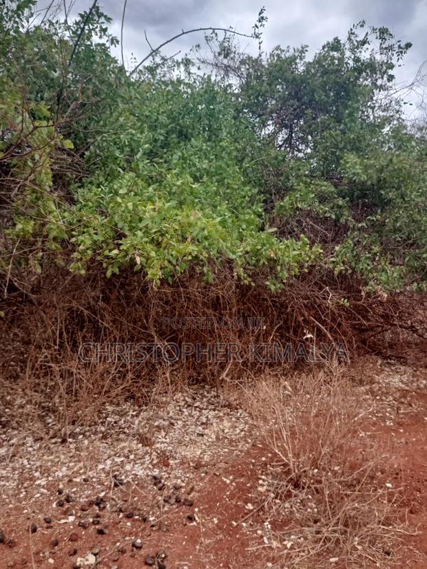 5 Acres Best Red Soil Land for Sale - thumbnail 5