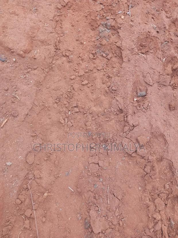 5 Acres Best Red Soil Land for Sale - thumbnail 6
