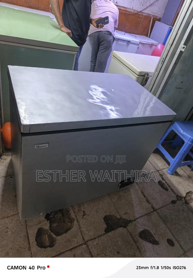 300 Litres Deep Freefreezer - thumbnail 3