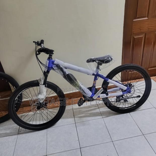 Size 24* Bicycle* With Gear - main view