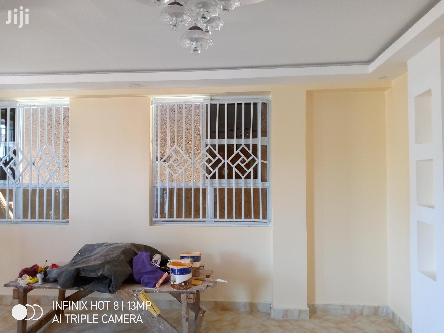 Gypsum Ceiling/Skimming/Painting