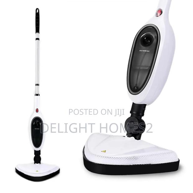 Multifunction Steam Cleaner_ele