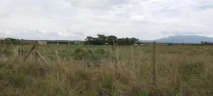 Naivasha - Mai Mahiu Subcounty Hq Plots