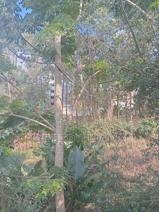 100×375 With Freehold Title - main view