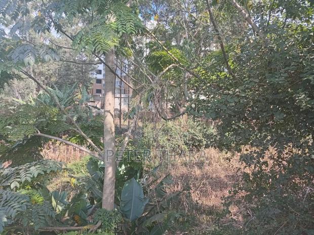 100×375 With Freehold Title - thumbnail 2