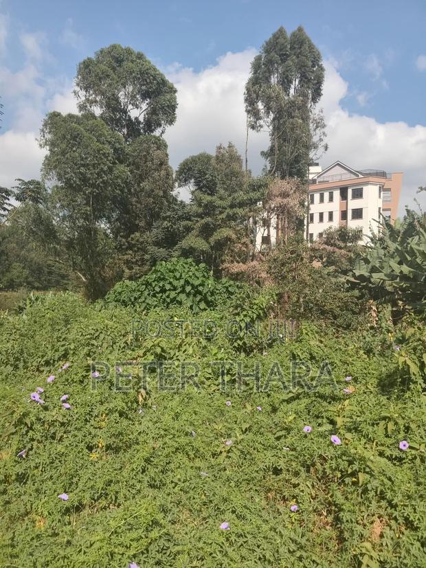 100×375 With Freehold Title - thumbnail 3