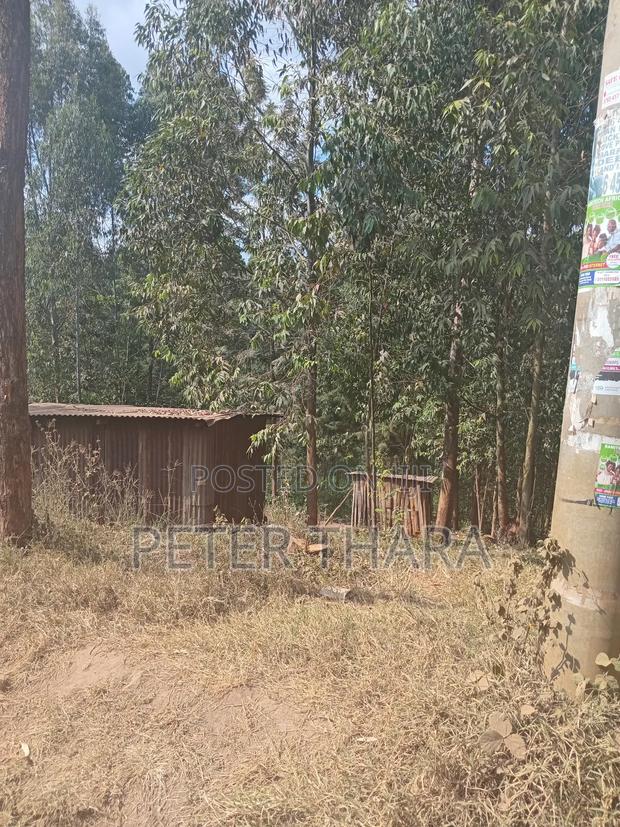 100×375 With Freehold Title - thumbnail 5