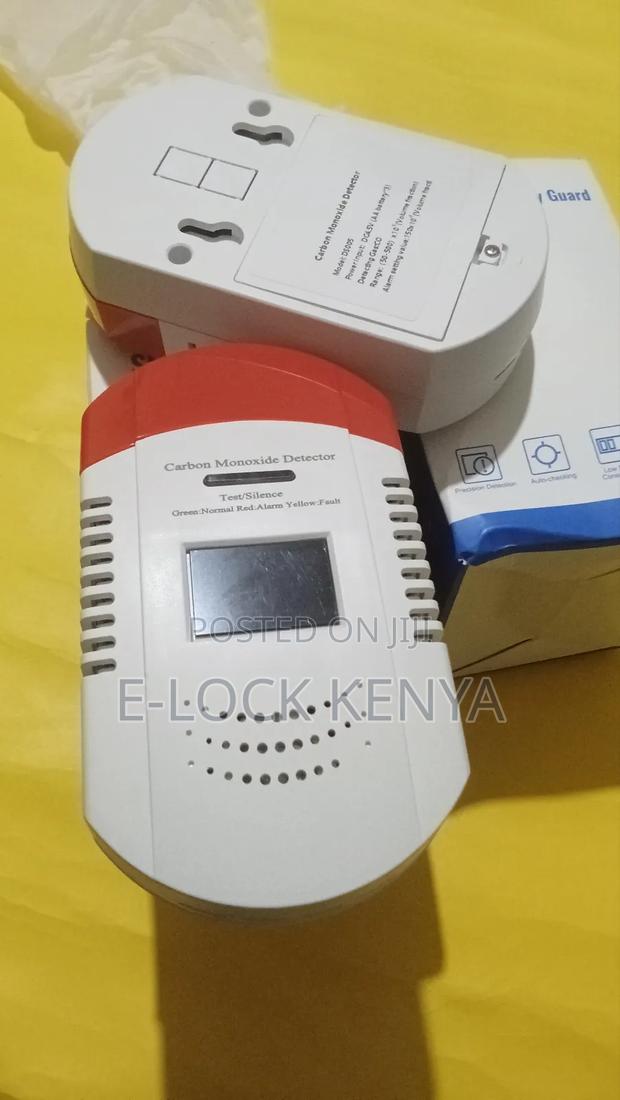 School Carbon Monoxide Detector