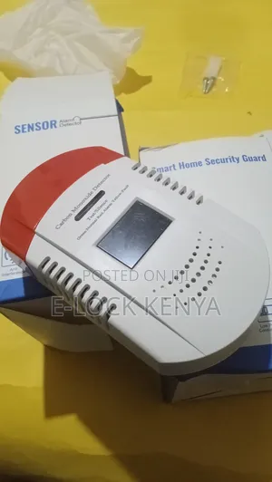 Home Carbon Monoxide Detector