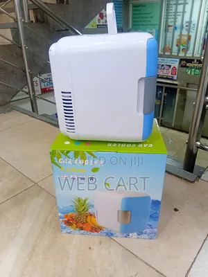 Mini Car Fridge