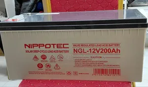 Nippotec 200ah 12v Deep Cycle Gel Battery