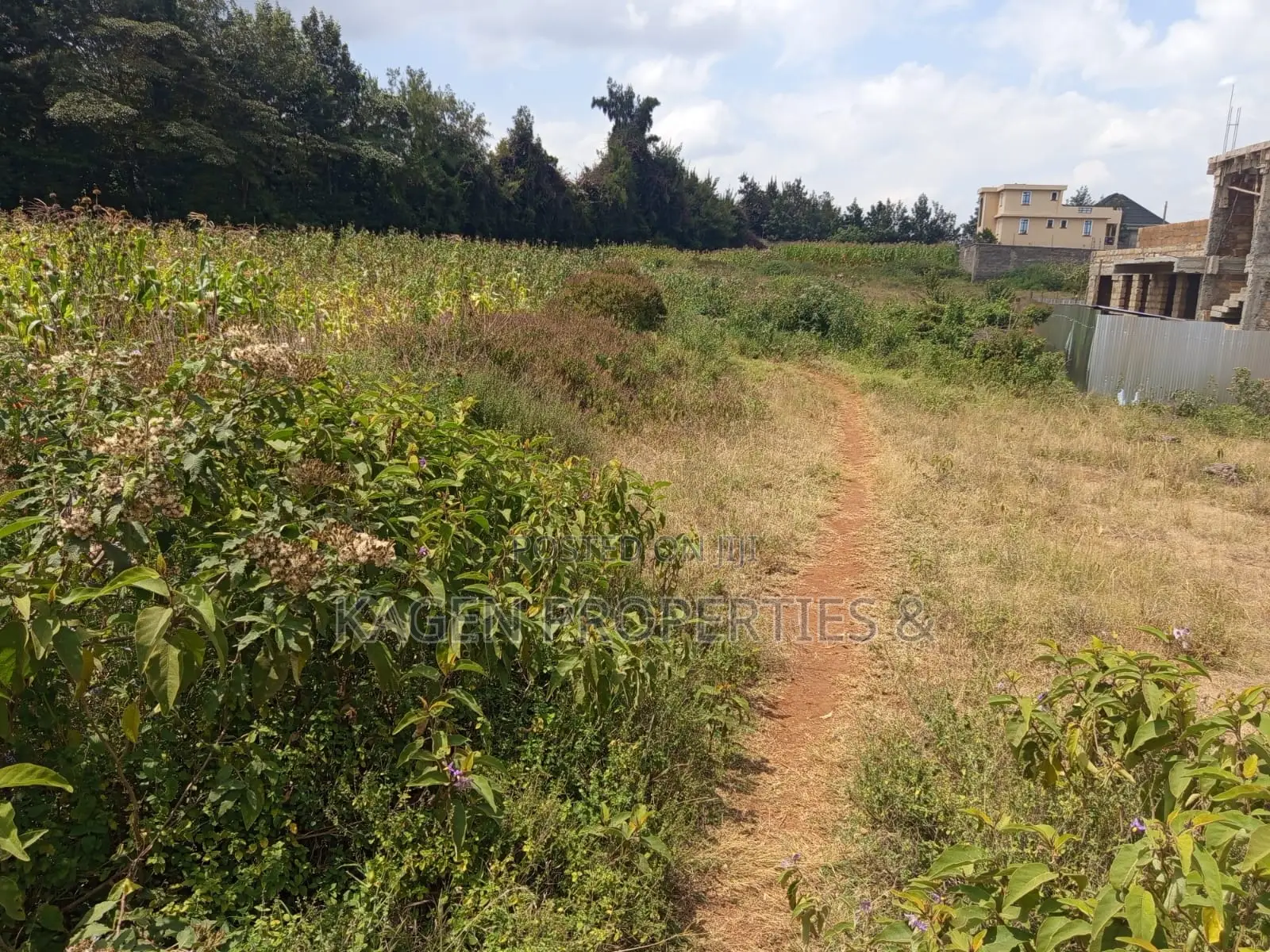 land for sale — image 1 of 4