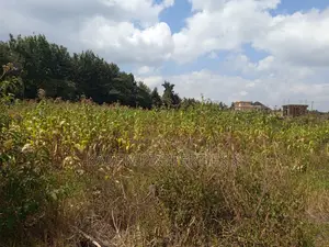 Plots in Ngong Kibiko for Sale