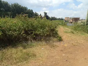 Plots in Ngong Kibiko for Sale