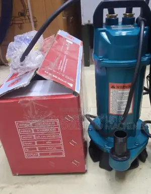 Quality Premier QDX 0. 75 Hp Submersible Pump