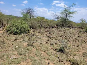 Acre Plots For Sale