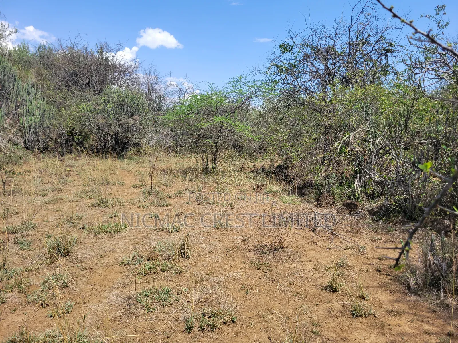 Offer! Offer! 1/2 Acres Plots for Sale