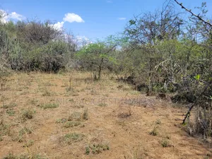 Offer! Offer! 1/2 Acres Plots for Sale
