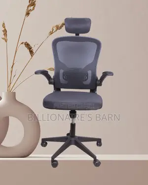 Grey Ergonomic Office Chair (Ergonomic) — Restocked!