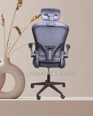 Grey Ergonomic Office Chair (Ergonomic) — Restocked!