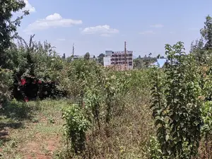 50x100 Plot for Sale in Kamangu Kikuyu Kiambu County.