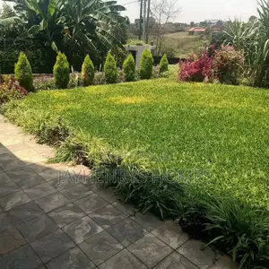 5bdrm House in Ruiru for sale