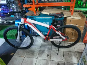 Premier Size 29" Mountain Bicycle