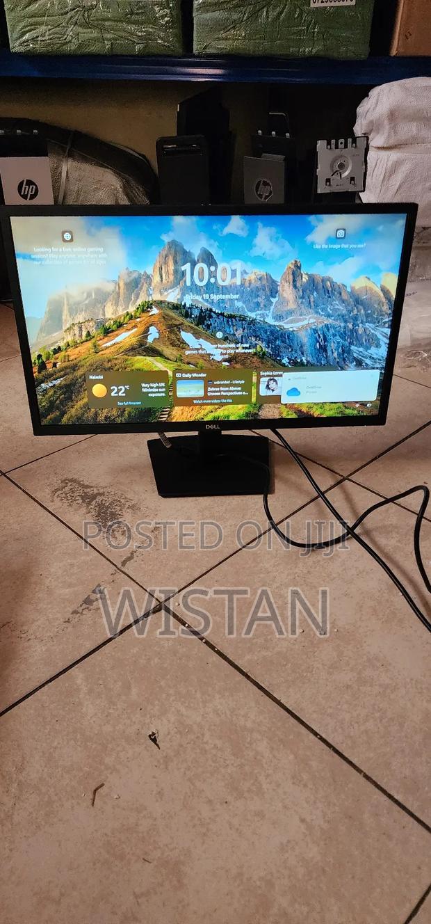 Dell 24 Inch Monitor