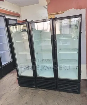 Working Commercial Display Chiller/ Best Quality