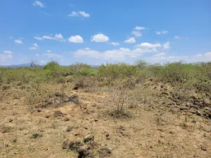 1/2 Plots For Sale