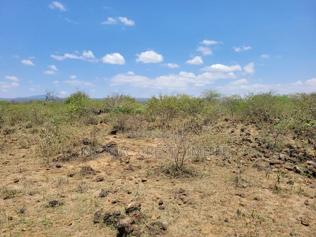 1/2 Plots For Sale - thumbnail 3