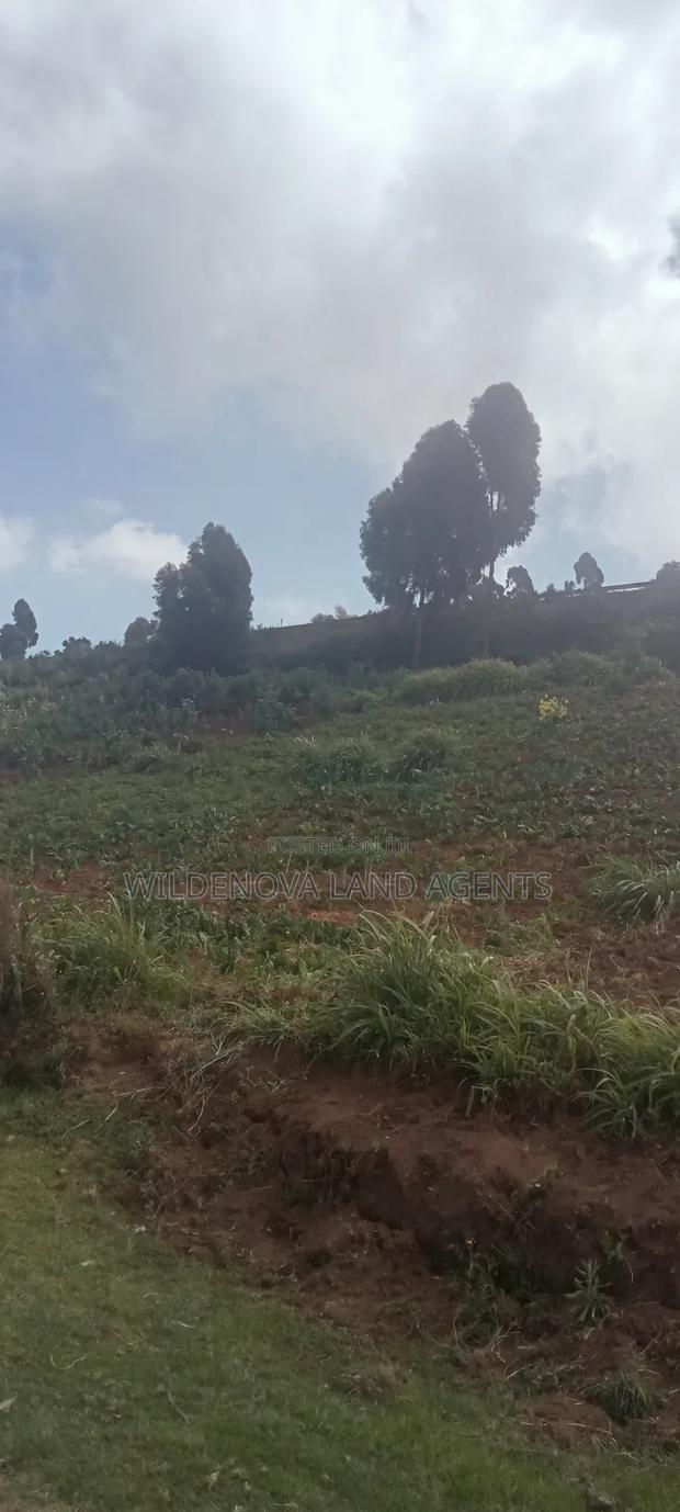 Land on Sale at View Point Flyover Nakuru - thumbnail 3