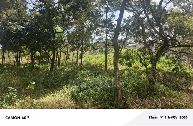 0.145 Hactares of Land for Sale at Karen End - thumbnail 5