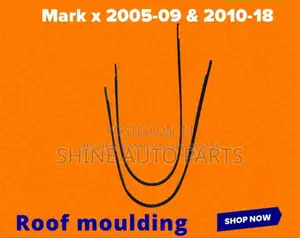 Vitz, Mark X, Hilux, Probox, Wish, Fielder, Axio Roof Moulding