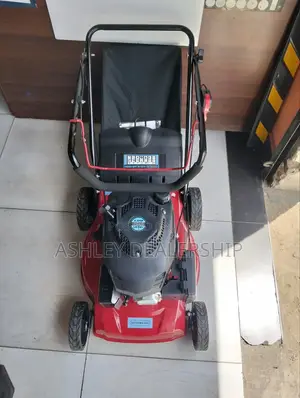 Gasoline Lawn Mower