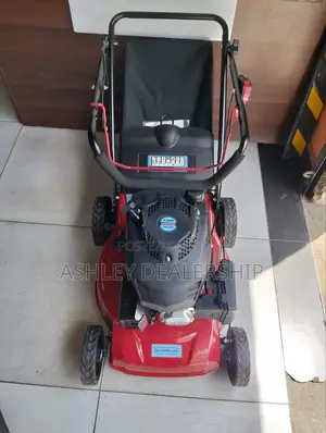 Gasoline Lawn Mower