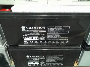 Champion Dayliff 200ah Sealed Valvelead Acid Battery
