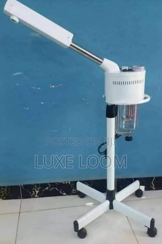 Hot and Cold Facial Steamer