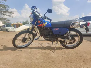 Suzuki 2006 Blue