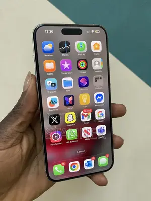 Apple iPhone 15 Pro Max 256 GB Silver