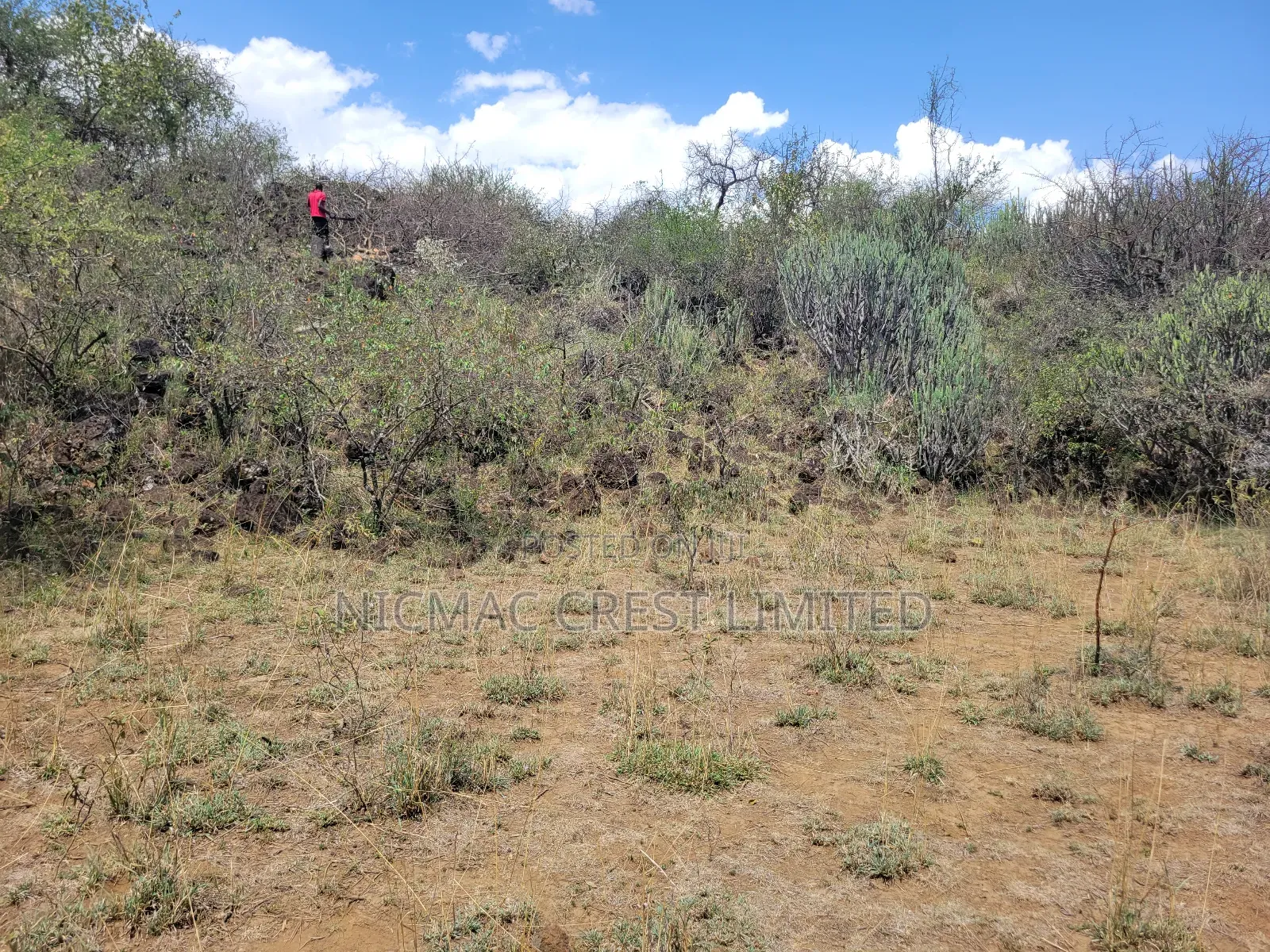 Acre Plots For Sale