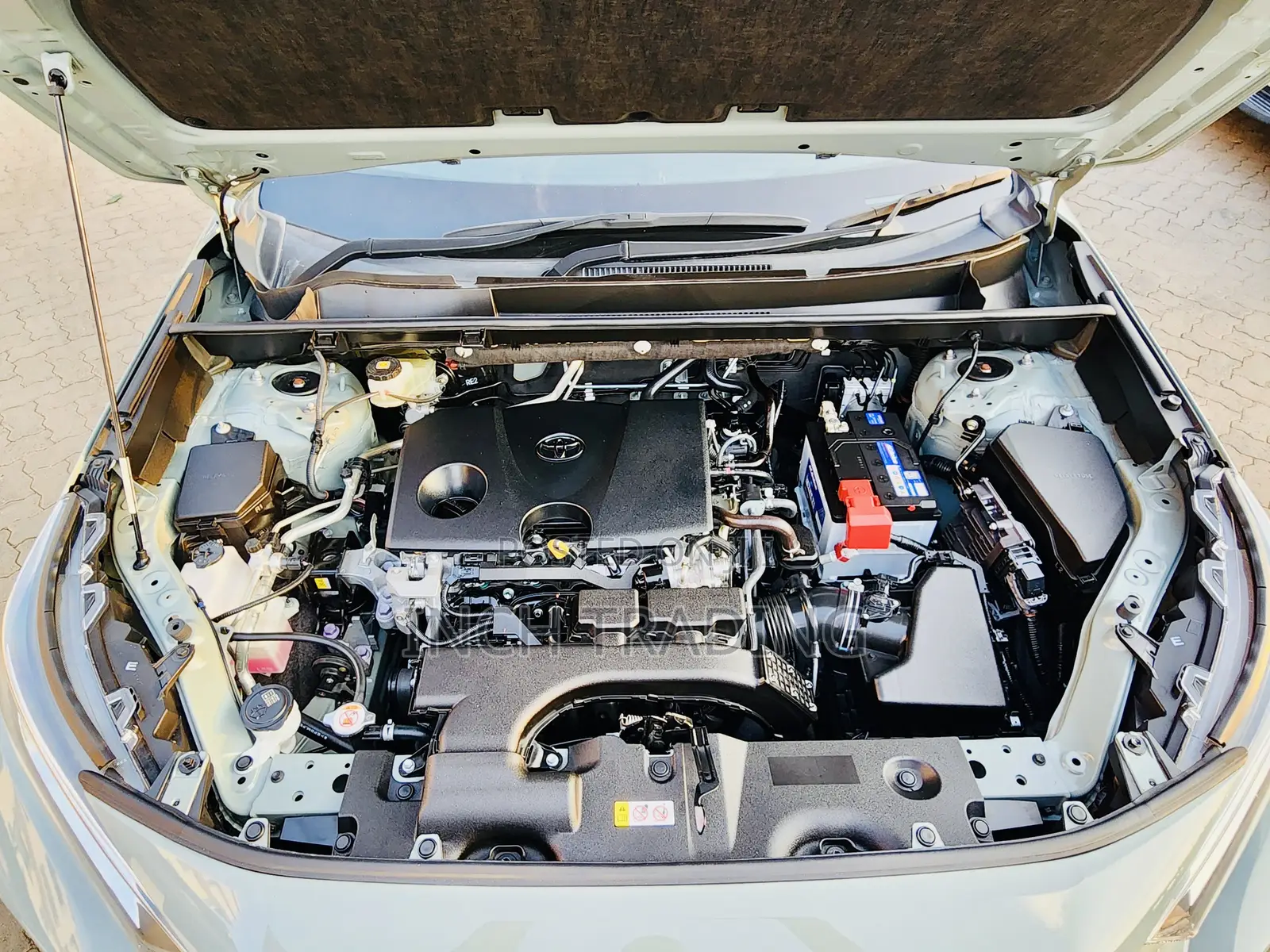 Toyota RAV4 Adventure 2019 Green