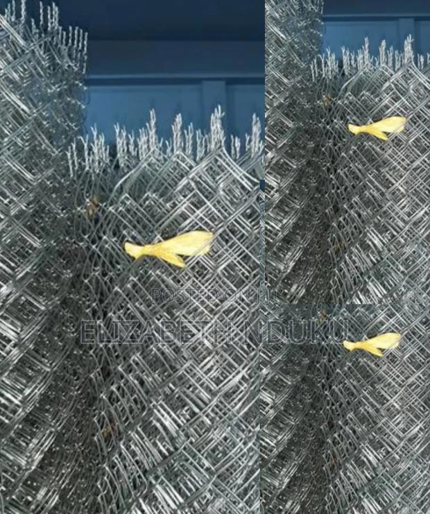 Fencing Chain Link (12.5, 5ft)