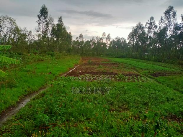 Prime Plot (125x250) for Sale at Rodi Kopany - main view