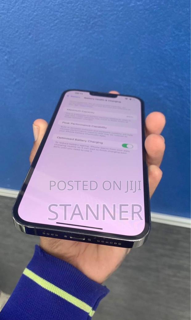 Apple iPhone 13 Pro Max 128 GB Gray - thumbnail 2