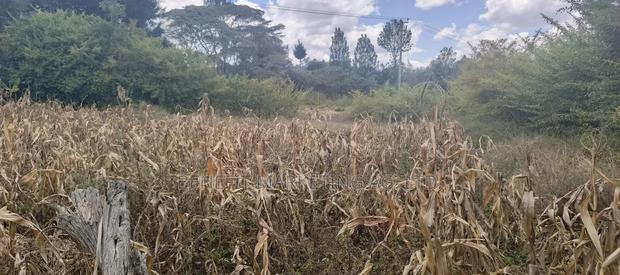 Quarter Acre Plot for Sale in Ngong, Ololua Near Olkeri. - main view