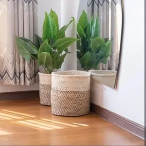 Baskets Plants Home Decor