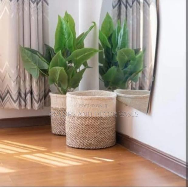 Baskets Plants Home Decor - main view