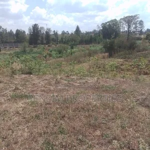 40by80 Commercial Plot in Kenol for Sale