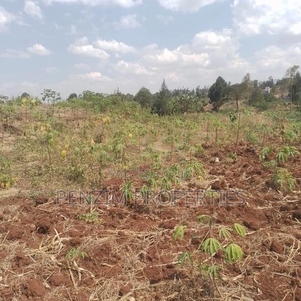 40by80 Commercial Plot in Kenol for Sale - thumbnail 2